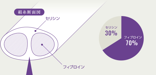 フィプロインが70％、セリシンが30％を占めています。