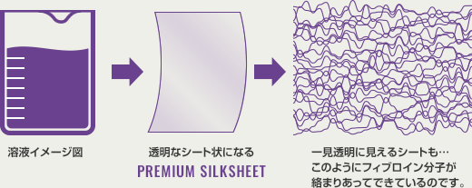 溶液から透明なシート状になります。一見透明に見えるシートもフィプロイン分子が絡まり合ってできているのです。